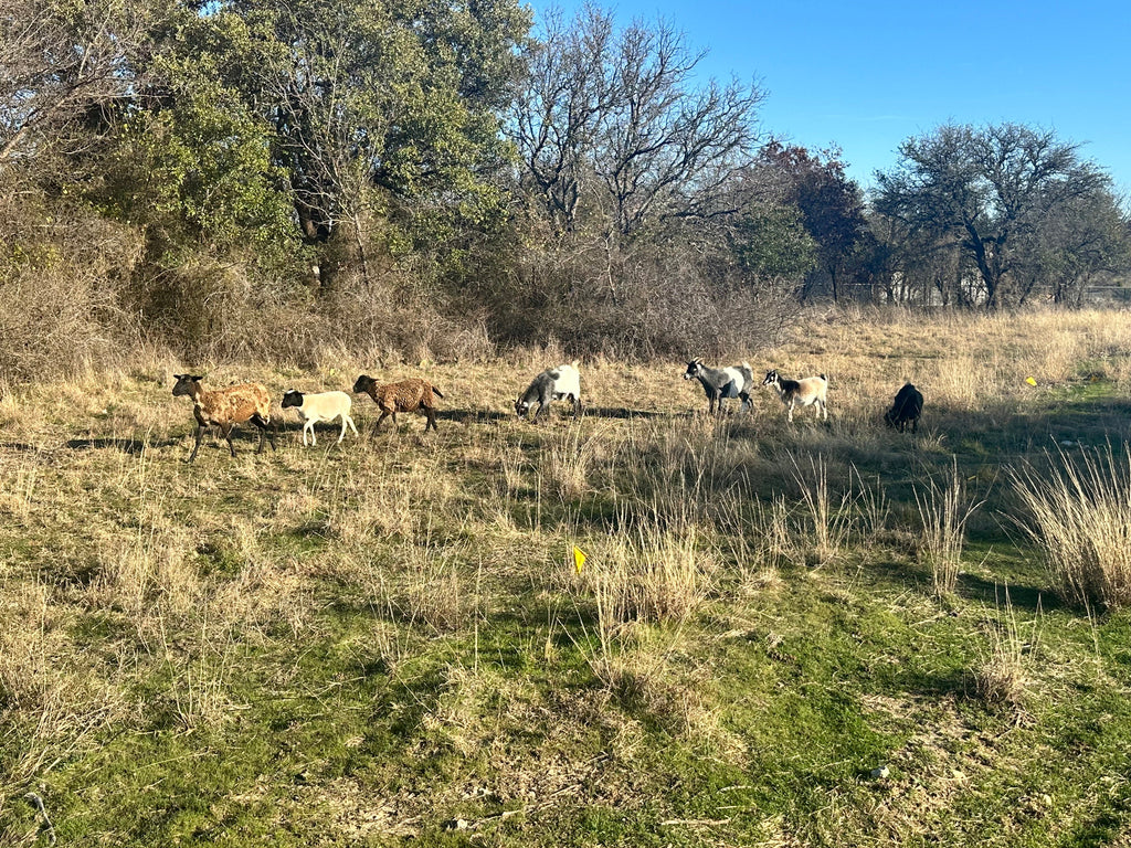 Lise's Growing Farm